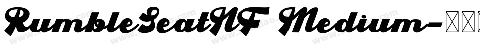 RumbleSeatNF Medium字体转换